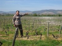 Autour du Mont Brouilly, balade avec un guide de pays !