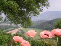 Balade avec un guide de pays dans le Haut Beaujolais !