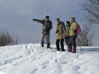 Sur les pas du fameux Léon, découvrez le biotope des landes du Beaujolais