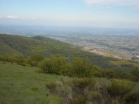 Sur les pas du fameux Léon, découvrez le biotope des landes du Beaujolais