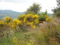 Balade accompagnée sur les landes du Beaujolais en suivant la vie de Léon