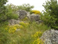 Balade accompagnée sur les landes du Beaujolais en suivant la vie de Léon