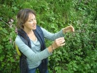 Balade botanique avec Marie-Claire Buffière, guide de pays Beaujolais