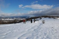 Balade accompagnée sur les landes du Beaujolais en suivant la vie de Léon