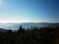 Balade nature avec un guide du pays, massif du st Rigaud Beaujolais ver