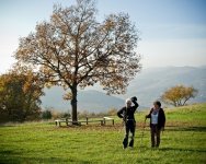 Guidage en Beaujolais vignoble