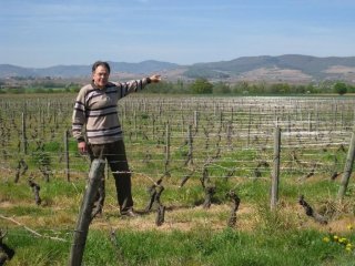 Circuits en Beaujolais