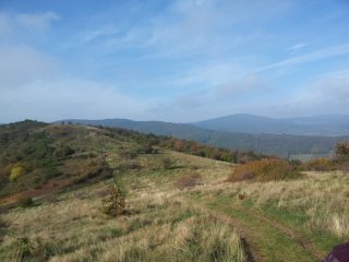 Le biotope des landes