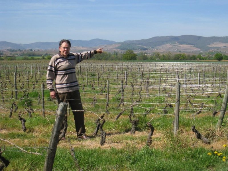 Autour du Mont Brouilly, balade avec un guide de pays !