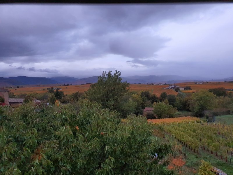 Balade des crus à la terrasse de Chirouble Chiroubles