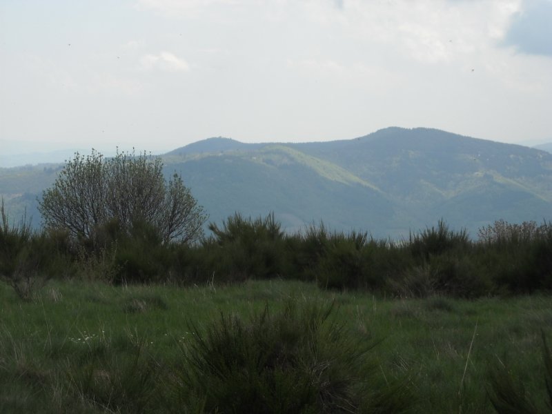 Sur les pas du fameux Léon, découvrez le biotope des landes du Beaujolais