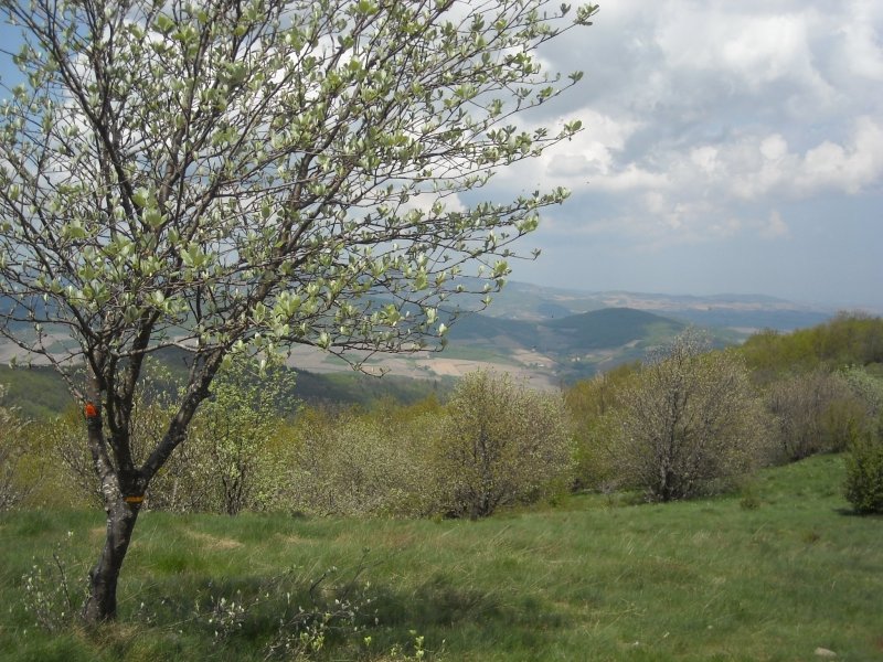 Balade accompagnée sur les landes du Beaujolais en suivant la vie de Léon