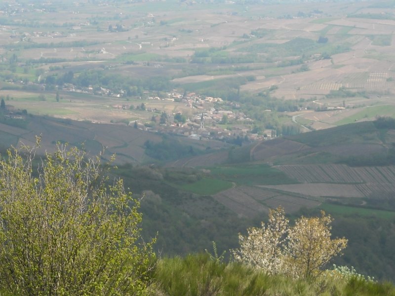 Sur les pas du fameux Léon, découvrez le biotope des landes du Beaujolais