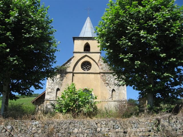 Entre Monts et Vignoble Beaujolais, balade avec un guide de pays !